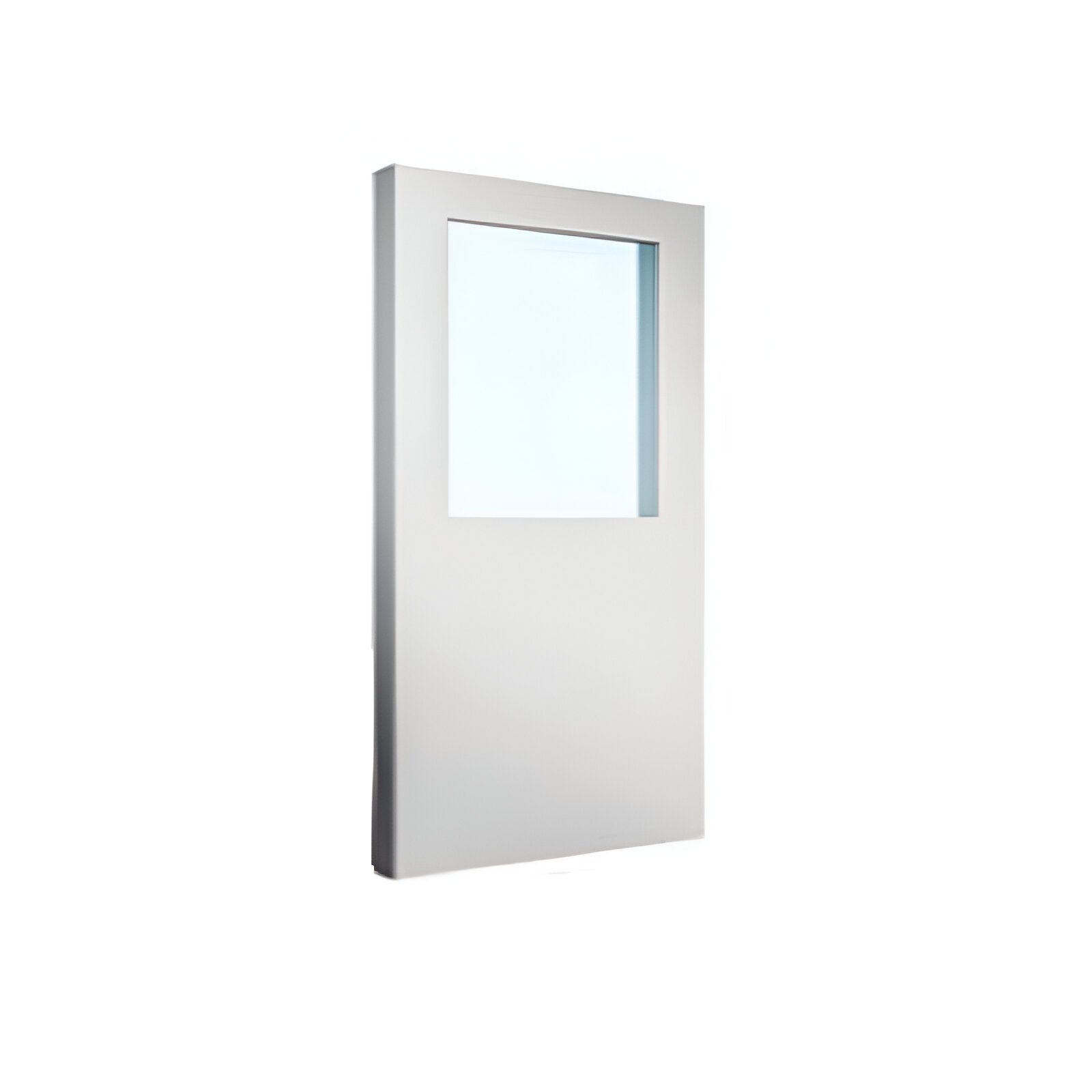 Puerta Metalica 210x75 cm Ebolution